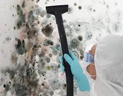 Best Mold Odor Removal Services in Warm Springs, OR